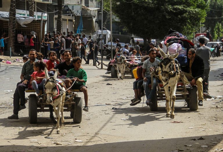 Cnn L19jb21wb25lbnrzl2ltywdll2luc3rhbmnlcy9jbti1dm10ynqwmda4m2i2bxc3y245z29o L19jb21wb25lbnrzl2fydgl.jpeg