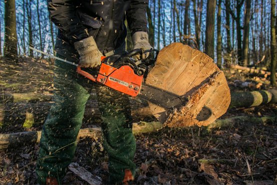Anulado processo por destruição de floresta e transfere julgamento para Justiça Federal