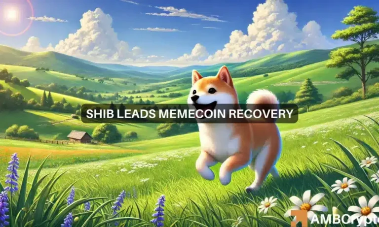 Shib Webp 1000x600.webp.webp