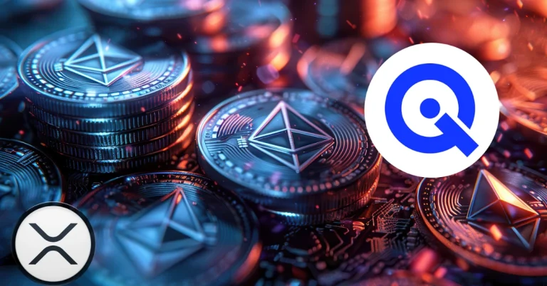 Wallit Iq 2 2.webp.webp