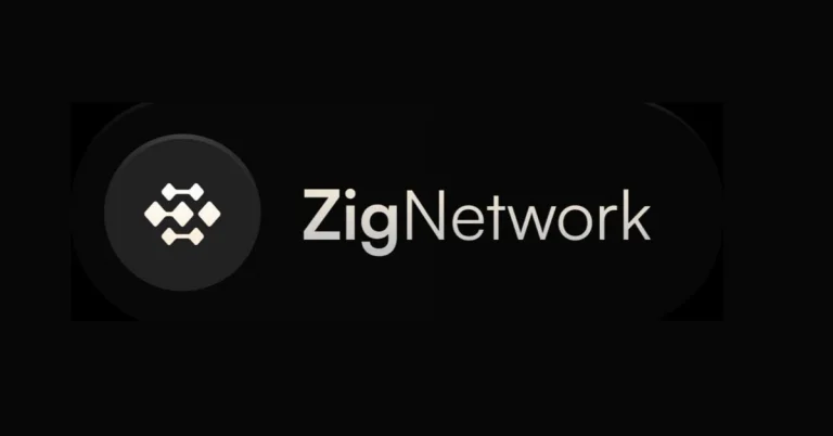 Zig Network.webp.webp