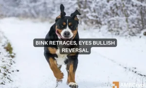 Bink Featured 1000x600.webp.webp