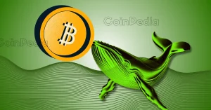 Bitcoin Whales Are Buying E28093 Is This A Golden Opportunity For Retail Investors.webp.webp