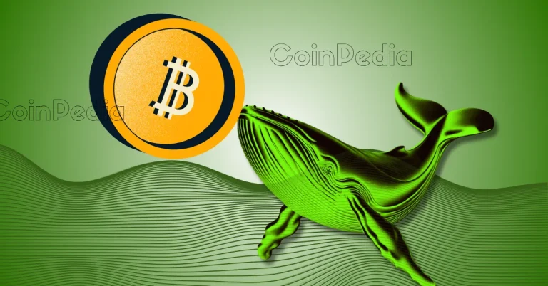 Bitcoin Whales Are Buying E28093 Is This A Golden Opportunity For Retail Investors.webp.webp