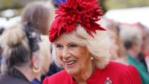 Gettyimages 1252229354 E1683140711864.jpg