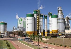 Incra nega último recurso da Paper e confirma ilegalidade da compra da Eldorado Brasil