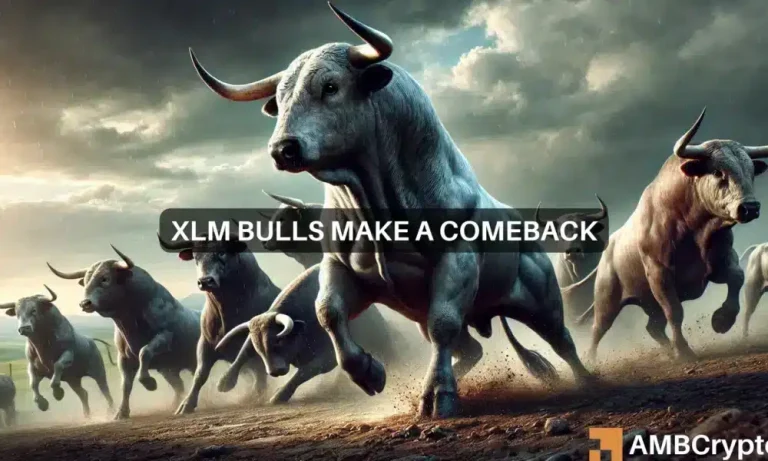 Michael Xlm 1000x600.webp.webp