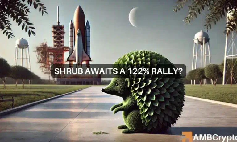 Shrub Awaits A 122 Rally 1000x600.webp.webp