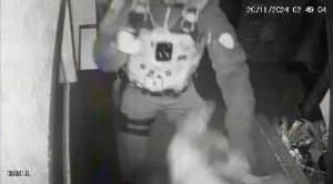 Whatsapp Image 2024 11 20 At 15.42.40.jpeg