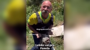 Fórum Animal processa vereador por maus-tratos a leitão e pede indenização de R$ 300 mil