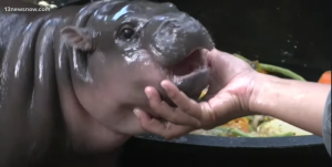 5c7c7d81dfdcba0921a0520530039feea13ecda9 1261x635.png