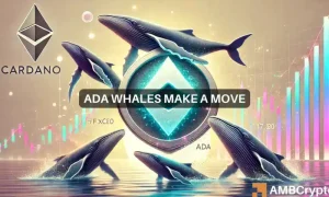 Ada Whales Make A Move 1000x600.webp.webp