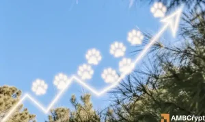 Cat Featured 1000x594.webp.webp