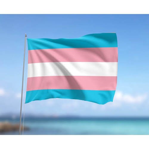 Homem trans consegue reconhecimento de paternidade após inseminação artificial caseira