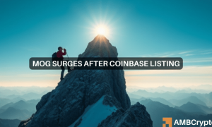 Mary Mog 1000x600.png