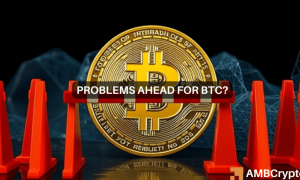 Michael Btc 1 1000x600.png