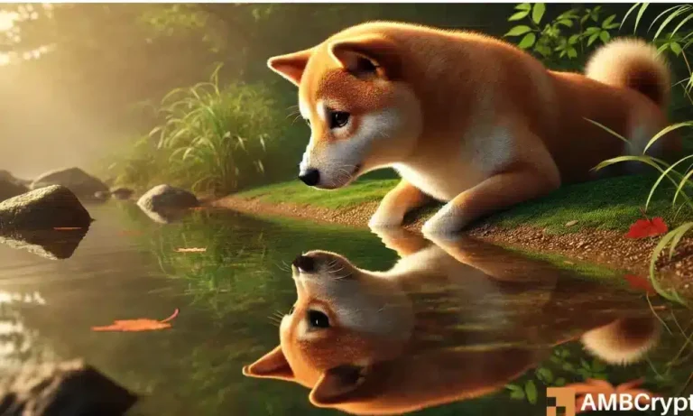 Ritika 1 15 1000x600.webp.webp