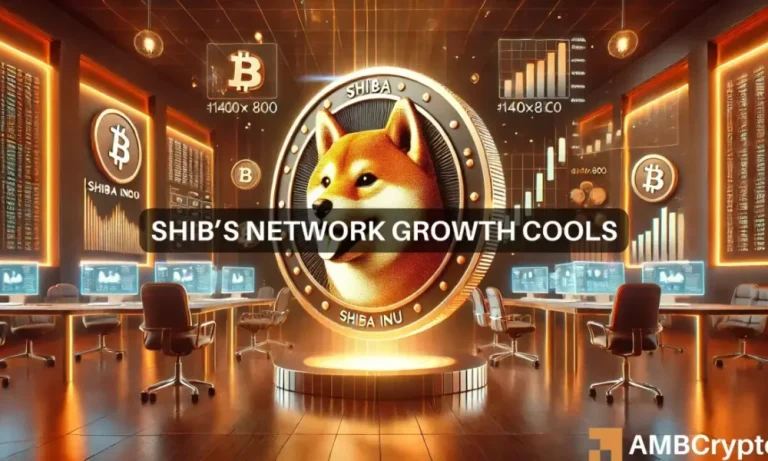 Shiba Inu 1 1000x600.webp.webp