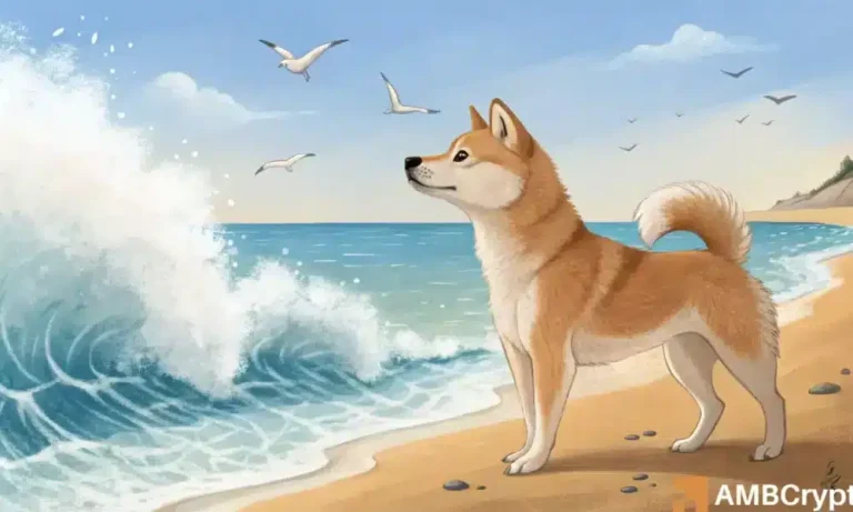 Shiba Inu 1 2 1000x600.webp.webp