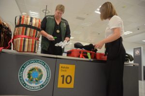 Vigiagro deverá realizar inspeção veterinária para transporte de dois gatos à Suécia, determina TRF-4