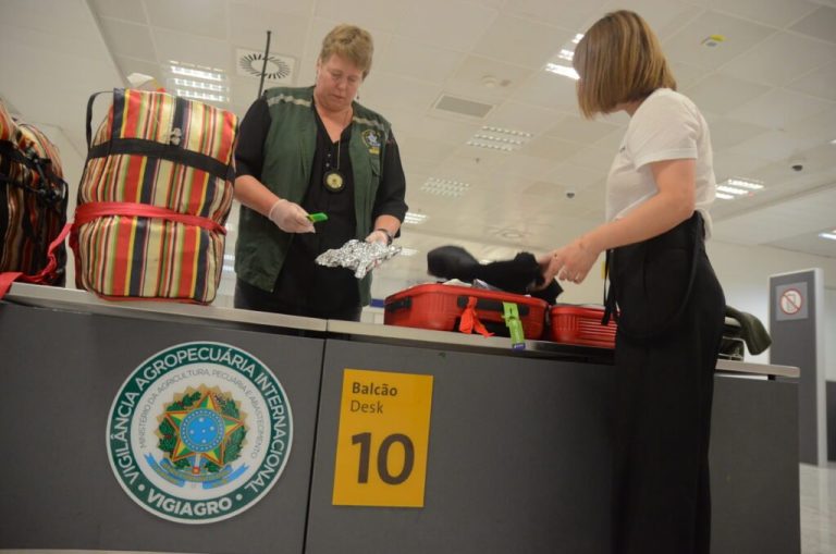 Vigiagro deverá realizar inspeção veterinária para transporte de dois gatos à Suécia, determina TRF-4