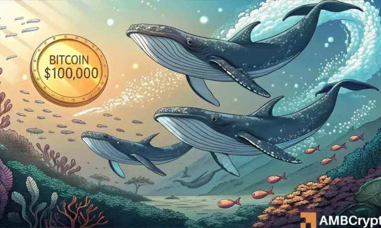 Btc12 1000x600.webp.webp