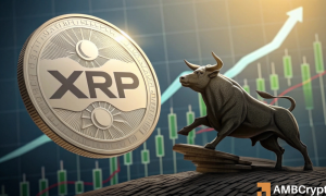 Bullrunnn 1000x600.png