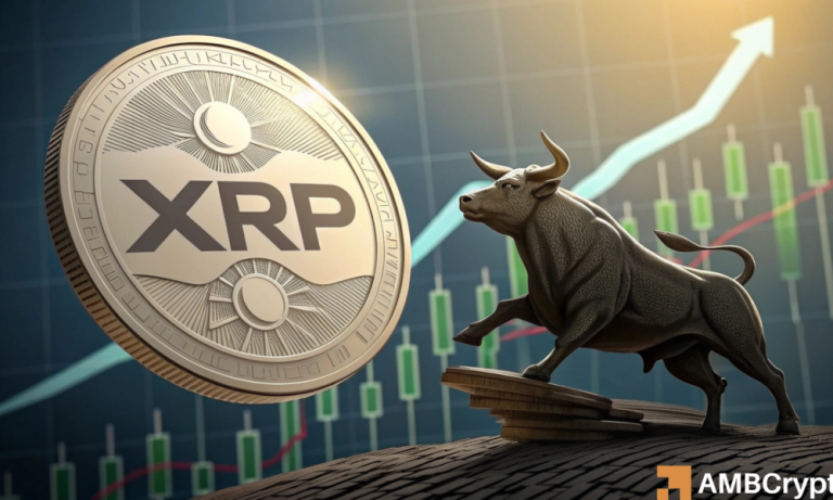 Bullrunnn 1000x600.png