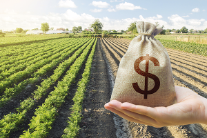 Justiça decide sobre disputa de terras no Mato Grosso; caso pode chegar a 50 anos nos tribunais e prejudicar o agronegócio