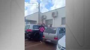 Envenenar Gatos 1.jpg