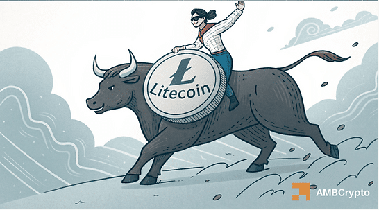 Ltc Img 2.png