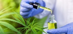 Justiça Federal autoriza farmácia de manipulação em Alagoas a produzir e vender derivados de cannabis medicinal