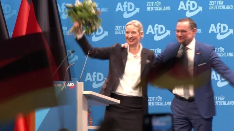 2025 02 13t100455z 1 Lop090212022025rp1 Rtrmadp Baseimage 960x540 Germany Election Profile Afd Weide.jpeg