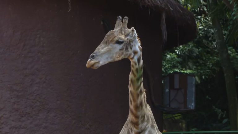 Br Cnn 120225 Live Clean Frame 108098.jpeg