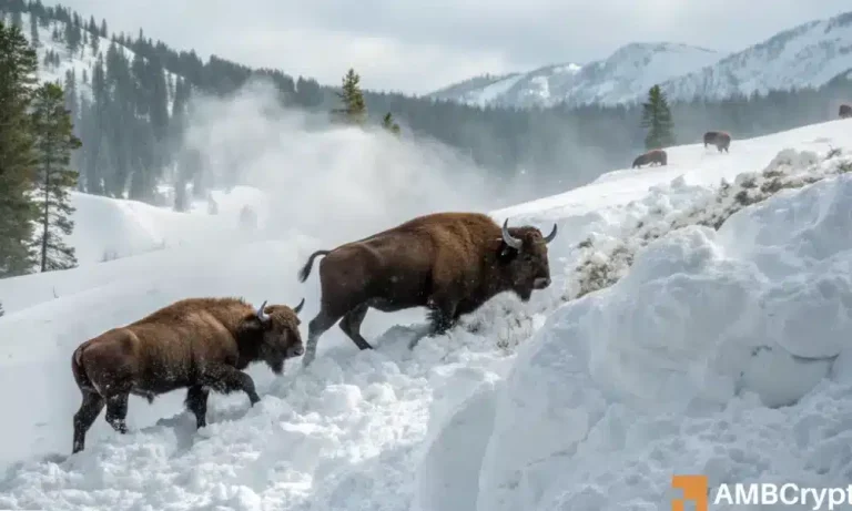 Editors 16 1000x600.webp.webp