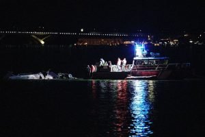 Gettyimages 2196058733.jpg