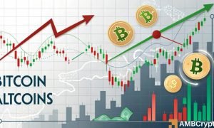 Gladys 9 1000x600.jpg