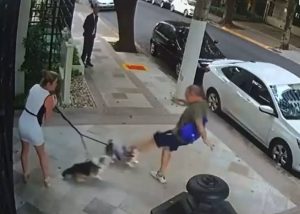 TJ-SP revoga absolvição e mantém ação contra homem acusado de chutar cães de irmã de Zanin