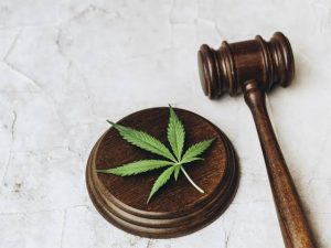 STF revisa analisa recursos sobre liberação do porte de maconha no Brasil