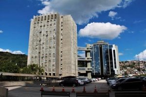 Crime ambiental envolvendo espécie ameaçada deve ser julgado na Justiça Federal, decide TJ-SC