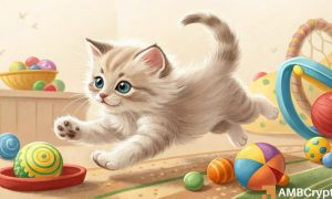 Popcat Fi 1000x600.jpg