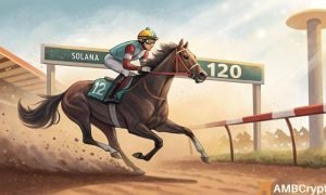 Solanafi 1000x600.jpg