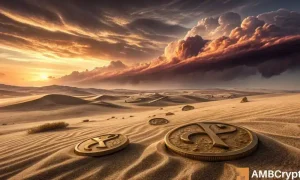 Xcn Featured 1000x600.webp.webp