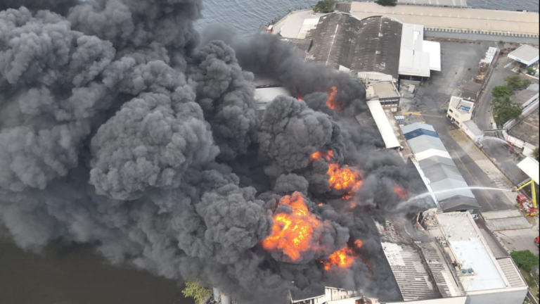 Aegdzvc E1739041300333.png