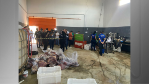 Apreensao ocorreu nesta quinta feira 13.png