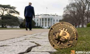 Bitcoin tariff fi 1000x600.jpg