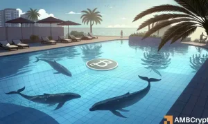 Bitcoin whales 1 1000x600.webp.webp
