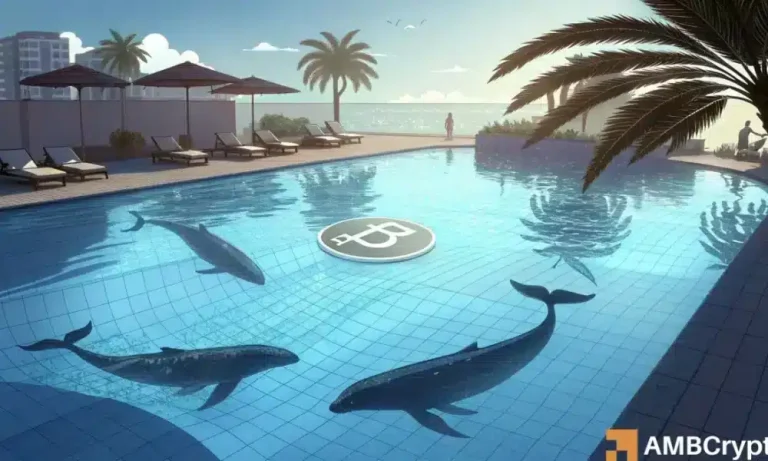 Bitcoin whales 1 1000x600.webp.webp