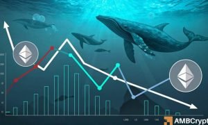 Gladys 33 1000x600.jpg