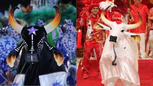 Modelo fundo cnn.jpg